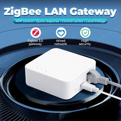   ZigBee